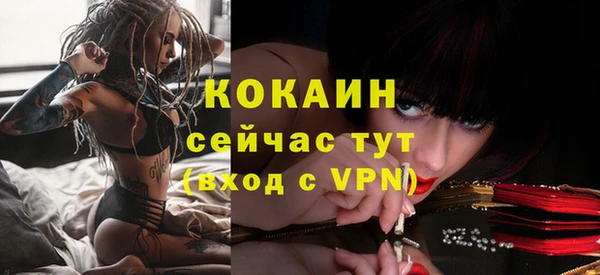 хмурый Абаза