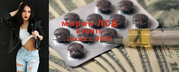 хмурый Абаза