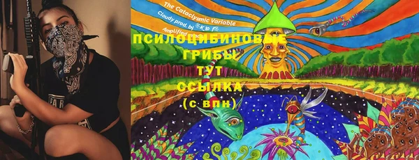 хмурый Абаза