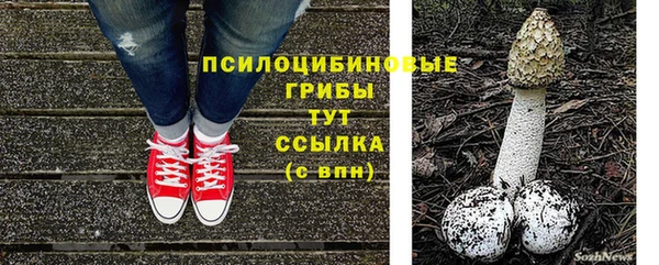 хмурый Абаза