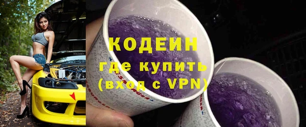 хмурый Абаза