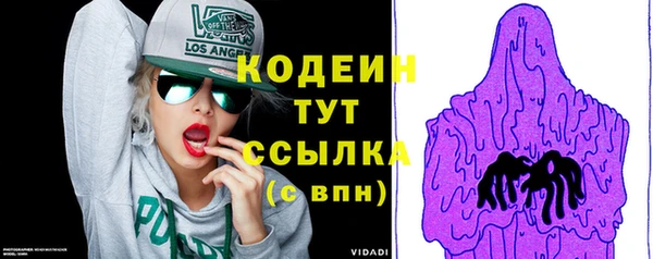 хмурый Абаза